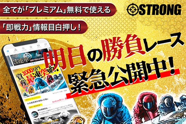 STRONG(ストロング)の総合評価 | 検証調査結果のまとめ